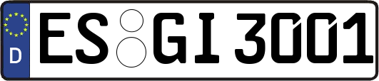 ES-GI3001