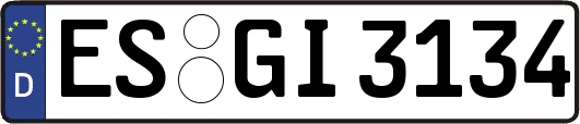 ES-GI3134
