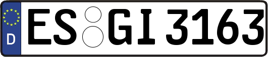 ES-GI3163