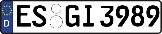 ES-GI3989