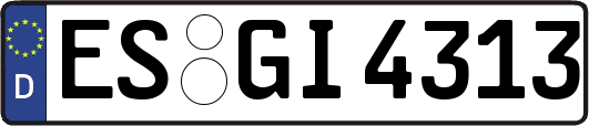 ES-GI4313