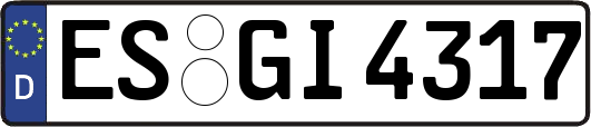 ES-GI4317
