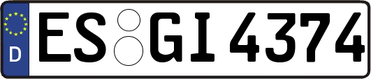 ES-GI4374