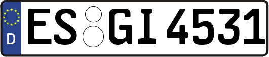 ES-GI4531