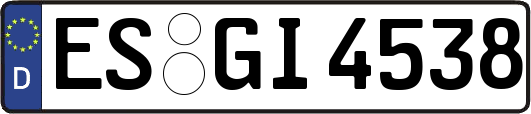 ES-GI4538