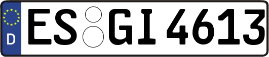 ES-GI4613