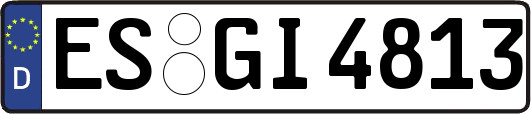 ES-GI4813