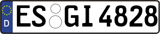 ES-GI4828