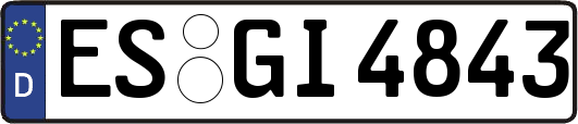 ES-GI4843
