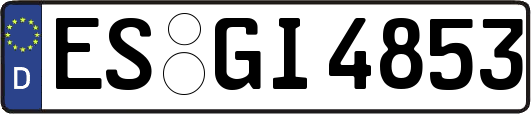 ES-GI4853