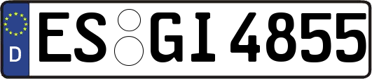 ES-GI4855