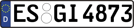 ES-GI4873