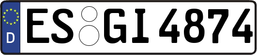 ES-GI4874