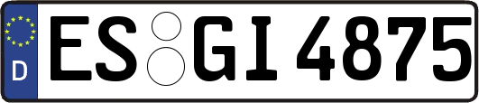 ES-GI4875