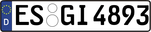 ES-GI4893
