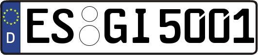 ES-GI5001