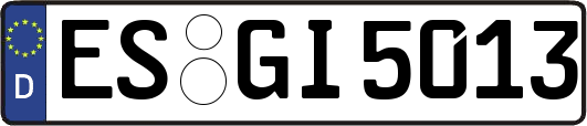 ES-GI5013