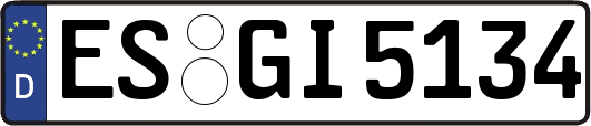 ES-GI5134
