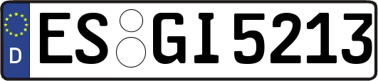 ES-GI5213