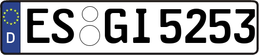 ES-GI5253