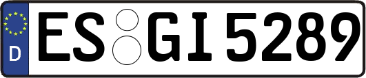 ES-GI5289