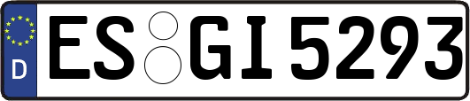 ES-GI5293
