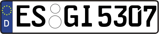 ES-GI5307