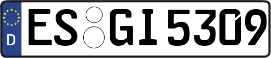 ES-GI5309