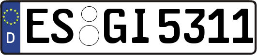 ES-GI5311