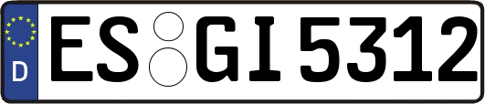 ES-GI5312