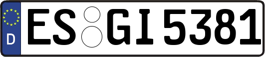 ES-GI5381