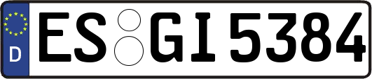 ES-GI5384