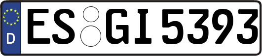 ES-GI5393