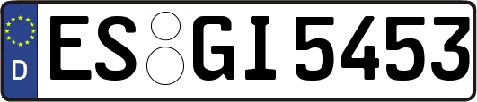 ES-GI5453