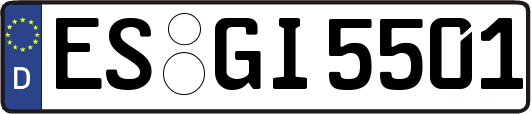 ES-GI5501