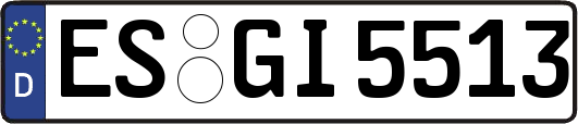 ES-GI5513