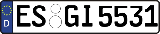 ES-GI5531