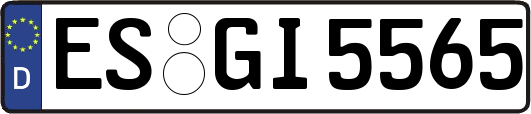 ES-GI5565