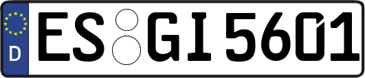 ES-GI5601
