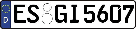 ES-GI5607