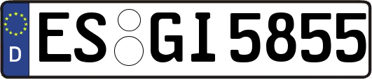 ES-GI5855