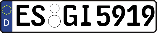 ES-GI5919