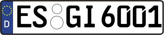 ES-GI6001