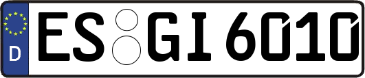 ES-GI6010