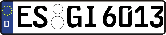 ES-GI6013
