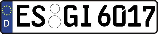 ES-GI6017