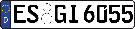 ES-GI6055