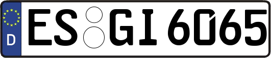 ES-GI6065
