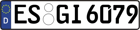 ES-GI6079