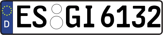 ES-GI6132